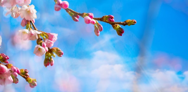 The ‘elusive’ life purpose